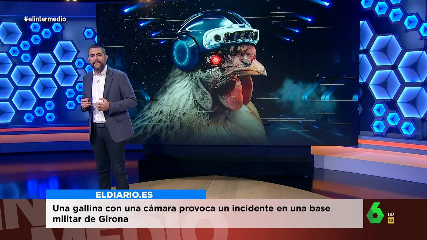 gallina gallina