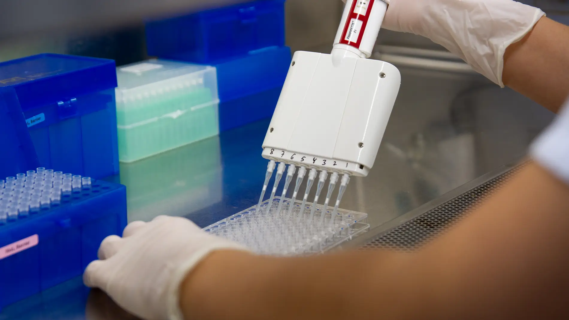 El inicio simultaneo del tratamiento antirretroviral y la inmunoterapia mejora el control del VIH El inicio simultaneo del tratamiento antirretroviral y la inmunoterapia mejora el control del VIH
