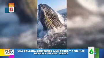 Un padre y un hijo son sorprendidos por una ballena mientras pescaban en New Jersey