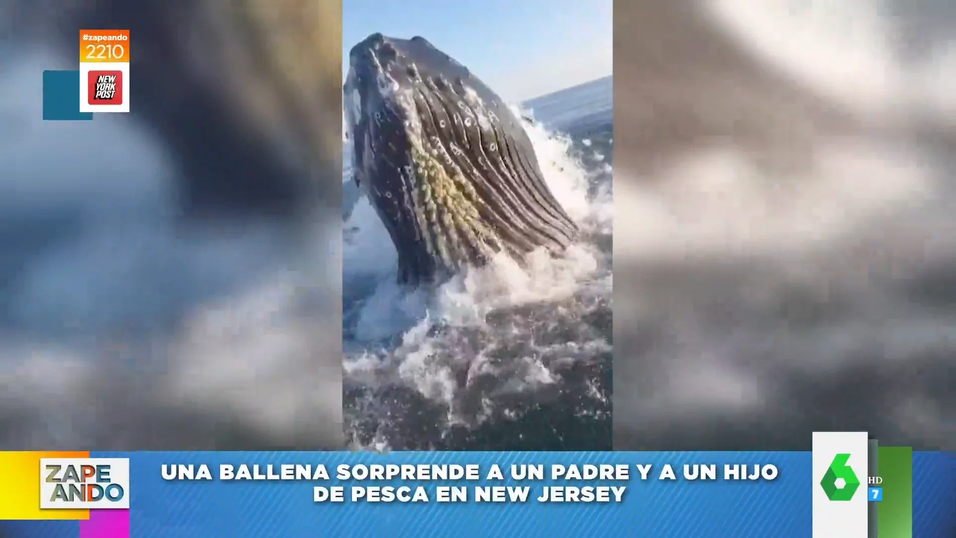 Un padre y un hijo son sorprendidos por una ballena mientras pescaban en New Jersey