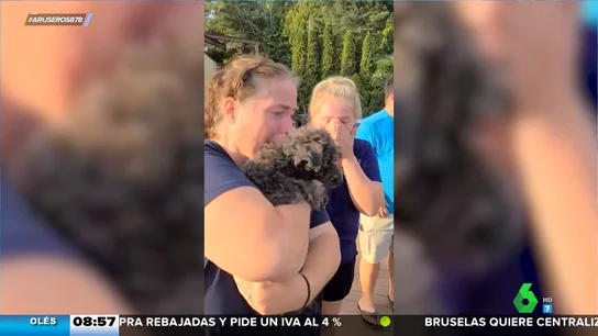 El emotivo momento en el que una señora y su perro se reencuentran tras dos semanas perdido El emotivo momento en el que una señora y su perro se reencuentran tras dos semanas perdido