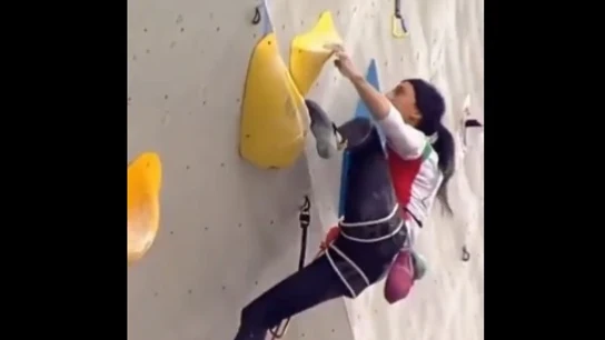 Elnaz Rekabi Elnaz Rekabi