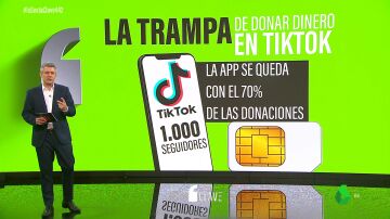 El negocio de TikTok a costa de los refugiados sirios: se lleva el 70% del dinero que se dona para ellos