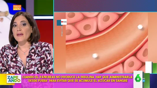 Boticaria García explica los tipos de diabetes que hay: estas son las personas a las que afecta cada una Boticaria García explica los tipos de diabetes que hay: estas son las personas a las que afecta cada una