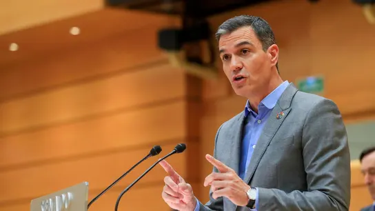 Pedro Sánchez durante su comparecencia ante el Senado Pedro Sánchez durante su comparecencia ante el Senado