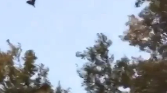 Un dron iraní lanzado por Rusia sobrevuela Kiev Un dron iraní lanzado por Rusia sobrevuela Kiev