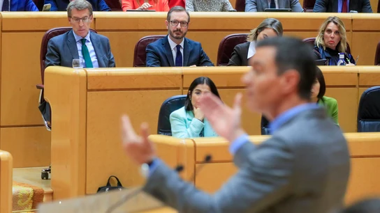 Alberto Núñez Feijóo y Javier Maroto escuchan al presidente del Gobierno, Pedro Sánchez, en el Senado. Alberto Núñez Feijóo y Javier Maroto escuchan al presidente del Gobierno, Pedro Sánchez, en el Senado.