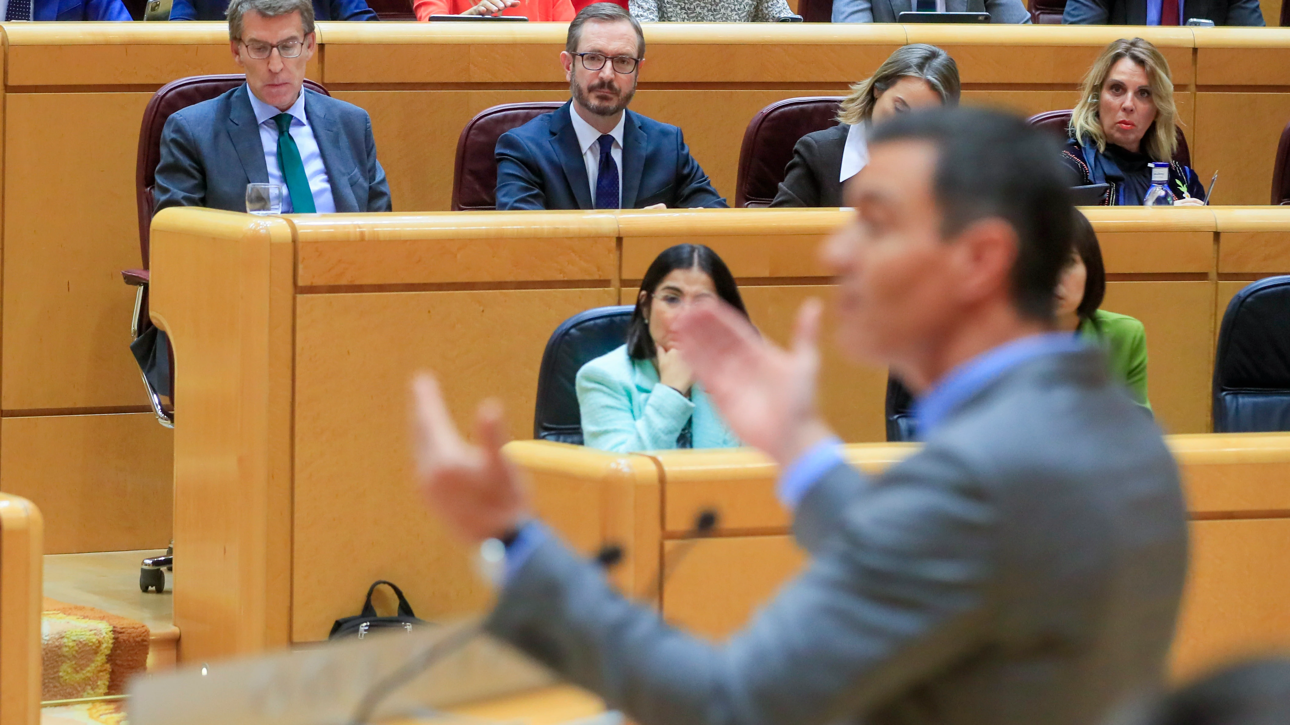 Alberto Núñez Feijóo y Javier Maroto escuchan al presidente del Gobierno, Pedro Sánchez, en el Senado.