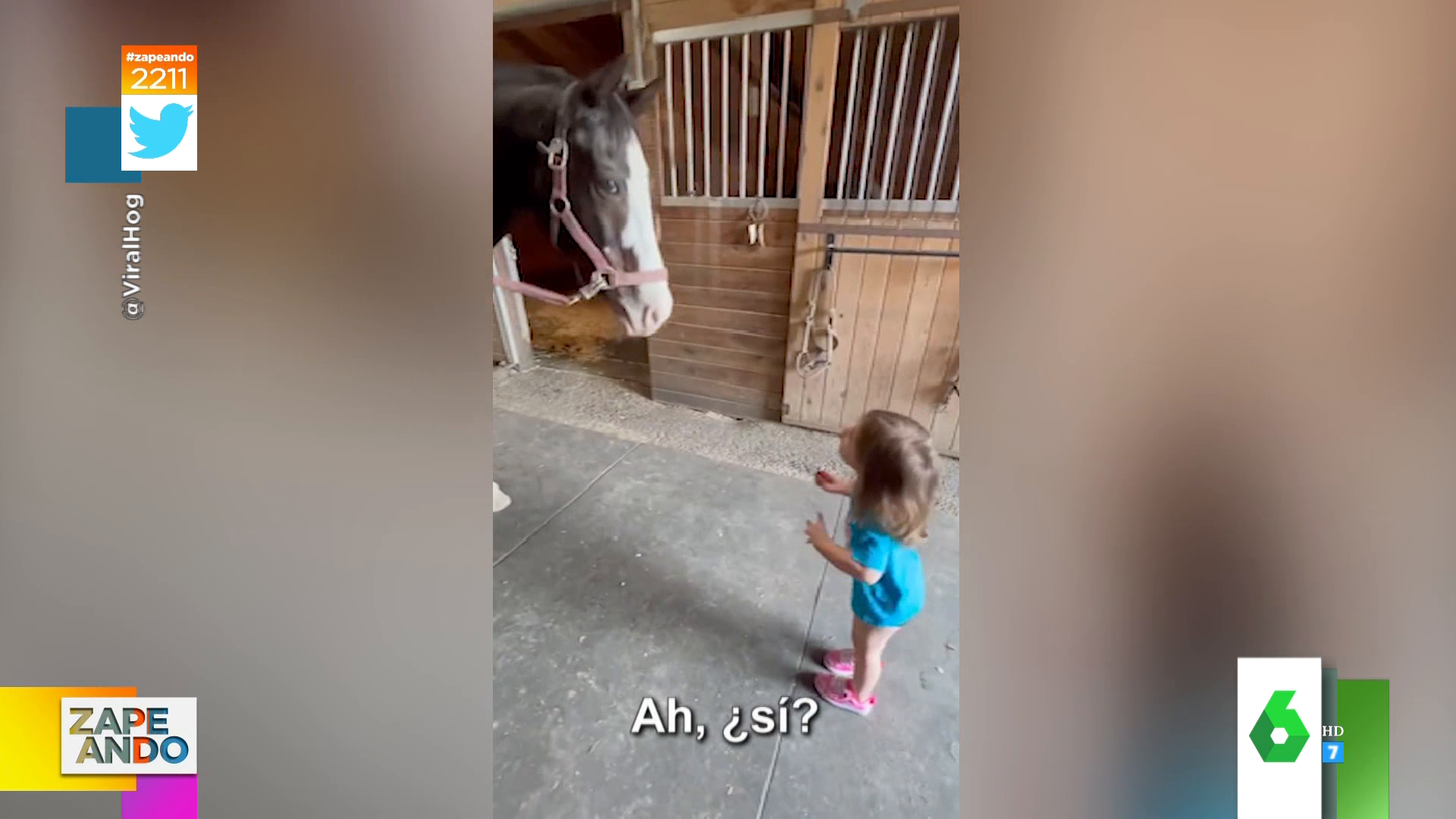 El tierno vídeo viral de un caballo que responde a una niña: 