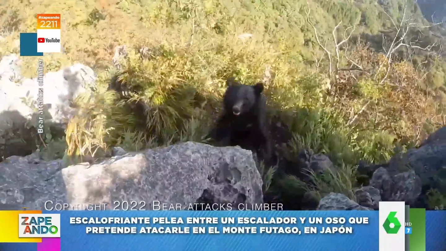 Vídeo viral del ataque de un oso a un escalador en Japón Vídeo viral del ataque de un oso a un escalador en Japón