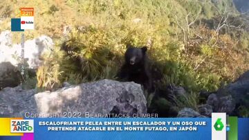 Vídeo viral del ataque de un oso a un escalador en Japón