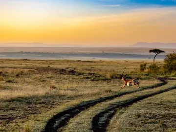 6 películas para viajar a África desde el sofá  6 películas para viajar a África desde el sofá