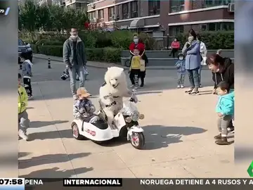 Cuando tu mascota lleva a tu hijo al parque: un perro y un bebé pasean en un sidecar de juguete