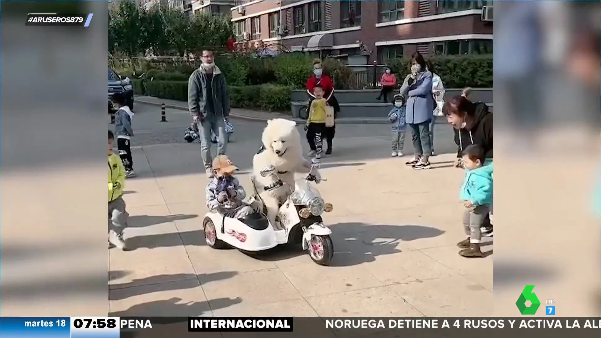 Cuando tu mascota lleva a tu hijo al parque: un perro y un bebé pasean en un sidecar de juguete