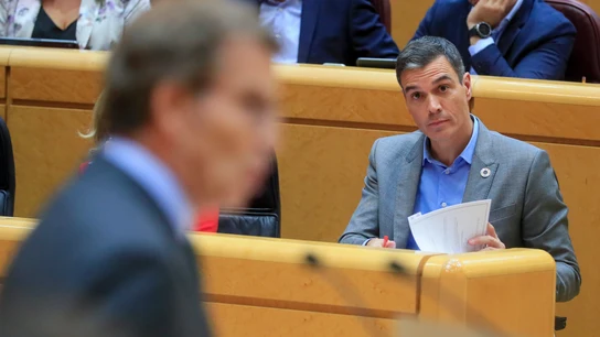 El presidente del Gobierno, Pedro Sánchez, escucha al líder del PP, Alberto Núñez Feijóo, en el Senado. El presidente del Gobierno, Pedro Sánchez, escucha al líder del PP, Alberto Núñez Feijóo, en el Senado.