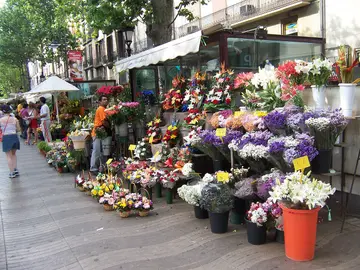 Todo lo que debes saber sobre La Rambla de Barcelona Todo lo que debes saber sobre La Rambla de Barcelona