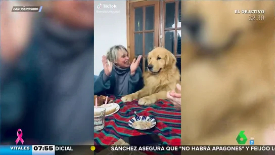 La entrañable reacción de este perro cuando su familia le canta el 'cumpleaños feliz' La entrañable reacción de este perro cuando su familia le canta el 'cumpleaños feliz'