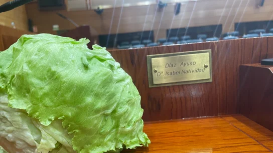 Una lechuga en el escaño de Isabel Díaz Ayuso Una lechuga en el escaño de Isabel Díaz Ayuso