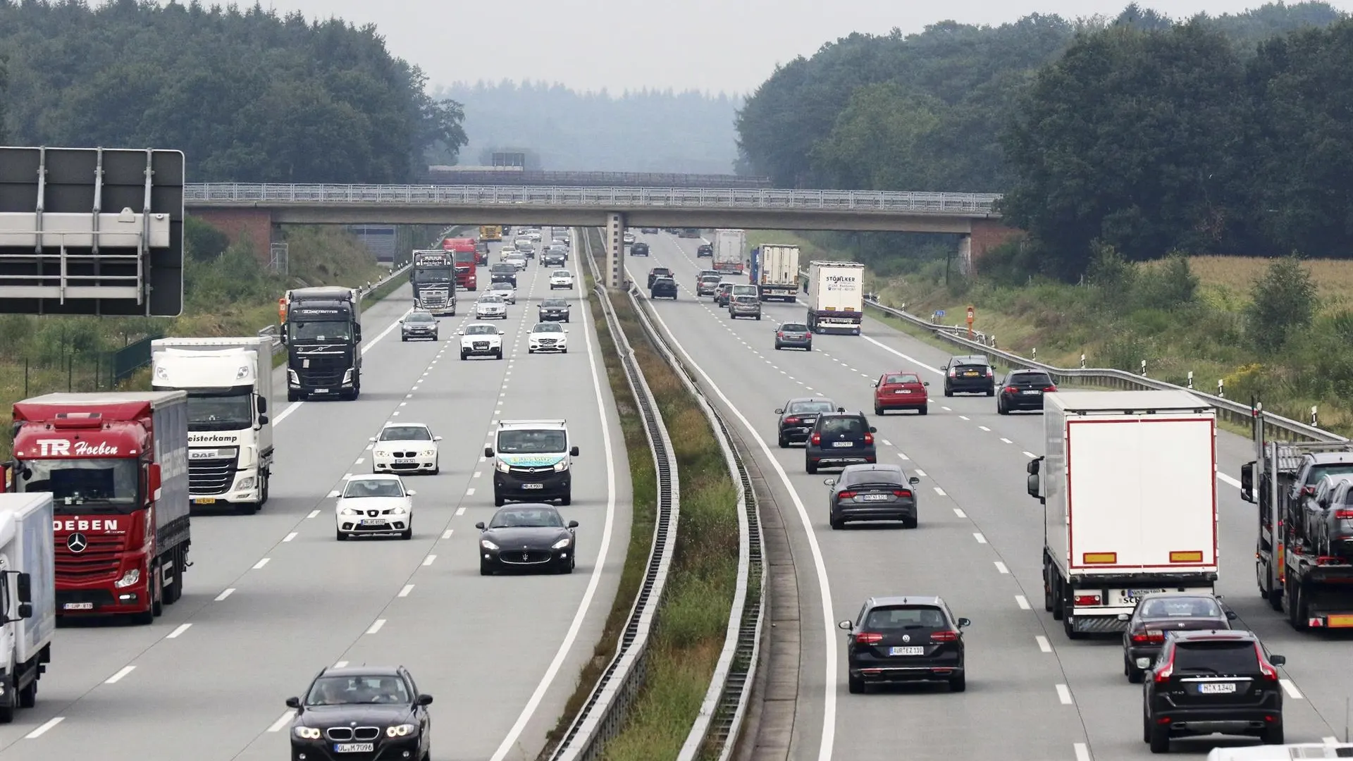 Por qué hay matrículas de coches verdes: quiénes pueden solicitarlas