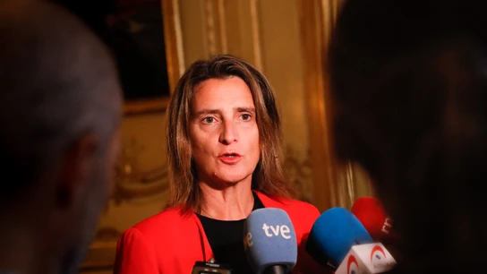 La vicepresidenta tercera del Gobierno y ministra para la Transición Ecológica y el Reto Demográfico, Teresa Ribera La vicepresidenta tercera del Gobierno y ministra para la Transición Ecológica y el Reto Demográfico, Teresa Ribera