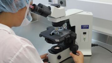 Una científica observa a través de un microscopio.