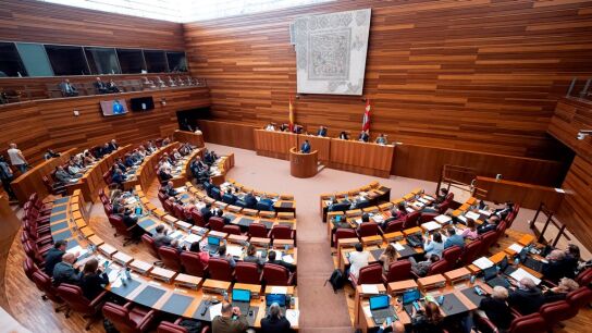 cortes de castilla y leon