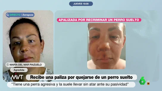 AgredidaPerro AgredidaPerro