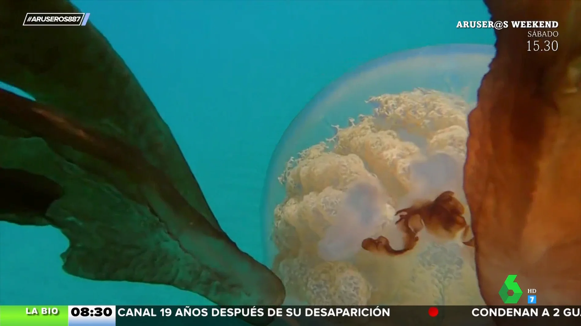 Descubren una gigantesca medusa en aguas de Gibraltar