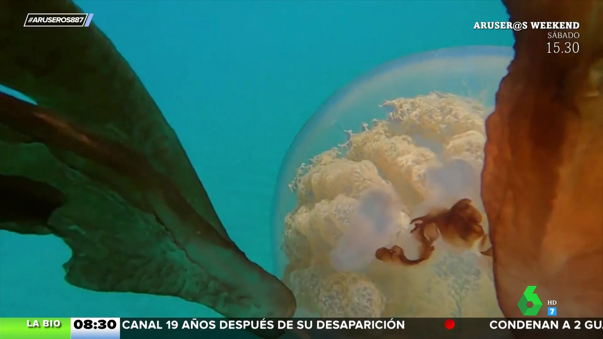 Descubren una gigantesca medusa en aguas de Gibraltar