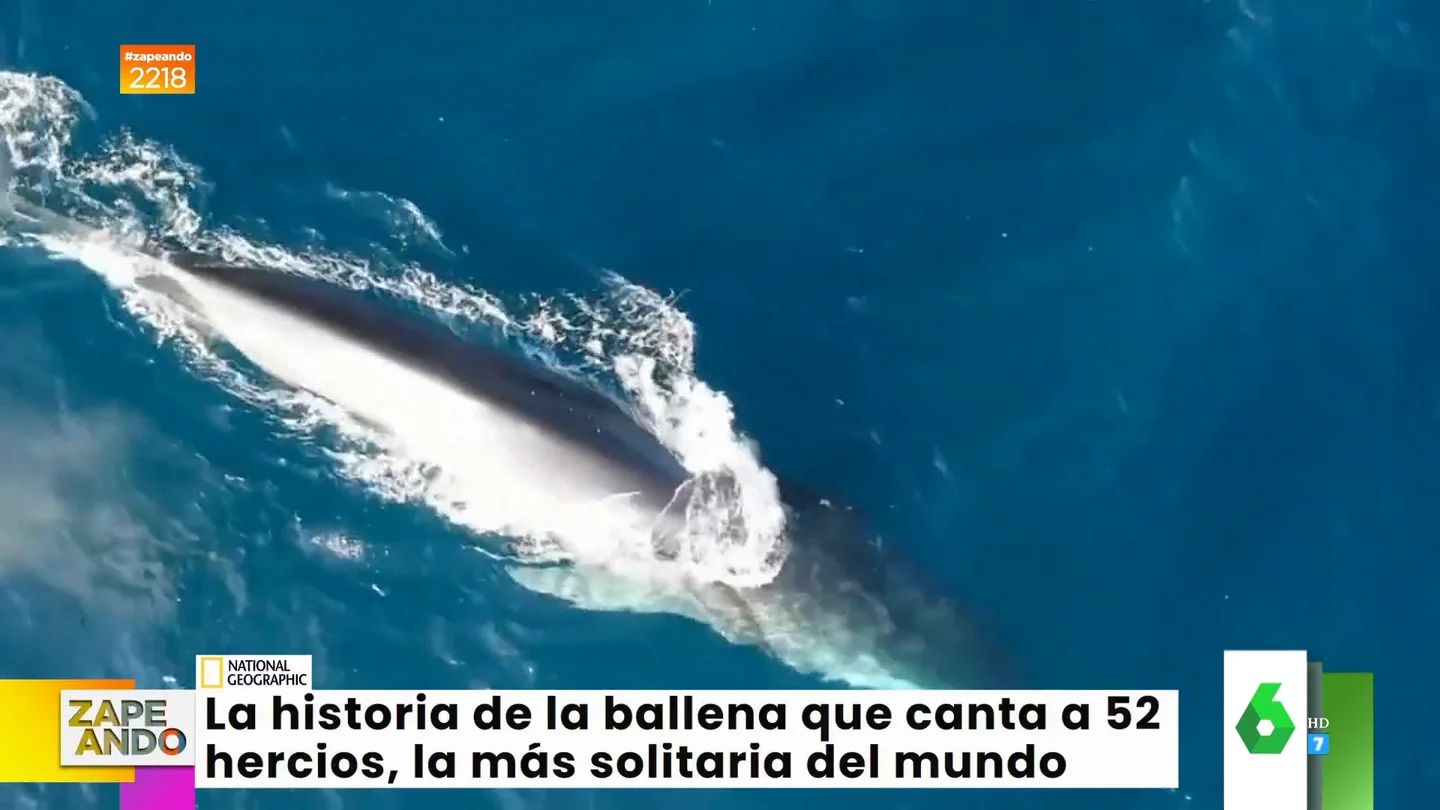 La triste historia de la ballena Whalien 52 La triste historia de la ballena Whalien 52