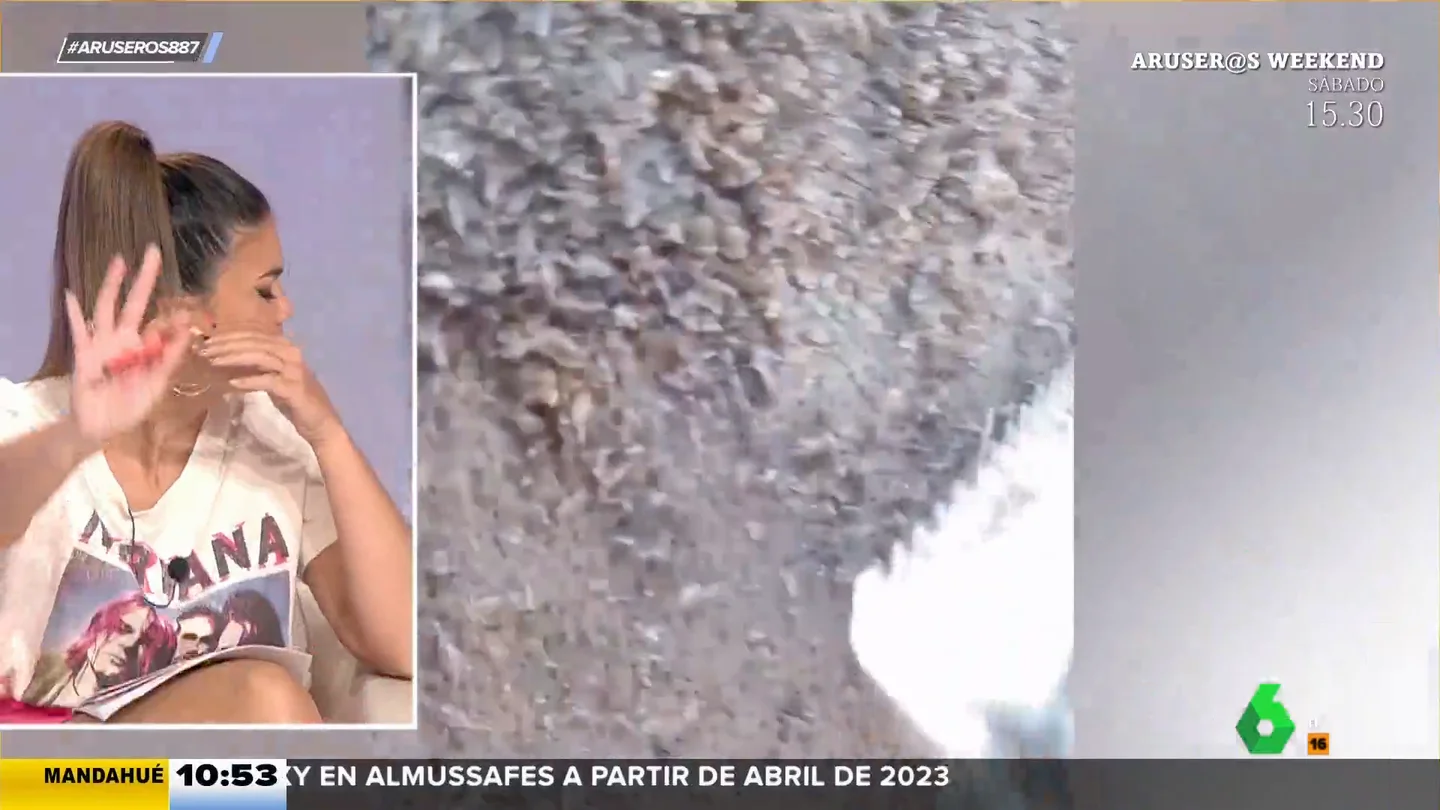 "Hay más piojos que pelos": el vídeo viral de una joven que tiene la cabeza plagada de liendres "Hay más piojos que pelos": el vídeo viral de una joven que tiene la cabeza plagada de liendres