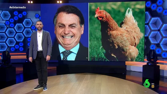 De apostar por una guerra civil a 'probar' gallinas: Dani Mateo recuerda la "idiotez" de Bolsonaro antes de las elecciones De apostar por una guerra civil a 'probar' gallinas: Dani Mateo recuerda la "idiotez" de Bolsonaro antes de las elecciones