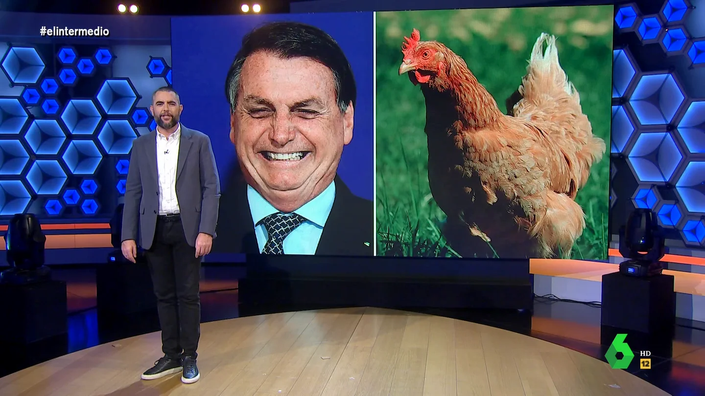 De apostar por una guerra civil a 'probar' gallinas: Dani Mateo recuerda la "idiotez" de Bolsonaro antes de las elecciones De apostar por una guerra civil a 'probar' gallinas: Dani Mateo recuerda la "idiotez" de Bolsonaro antes de las elecciones