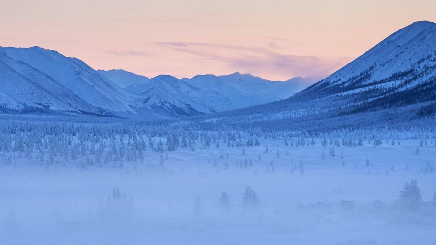 Bosque de Oimiakón, en Rusia Bosque de Oimiakón, en Rusia