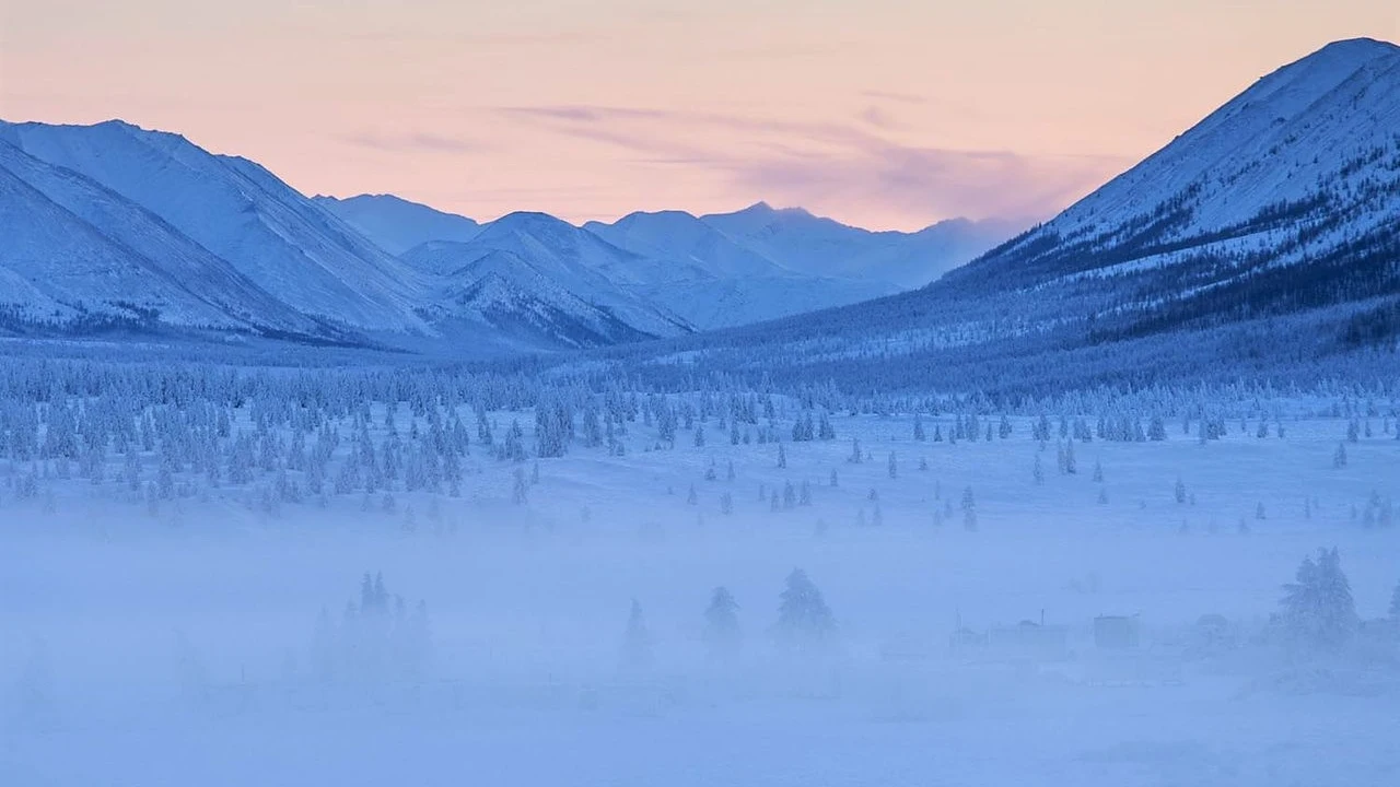 Bosque de Oimiakón, en Rusia