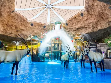 Desert Falls Water; Adventure Park Lennys Lagoon. Qatar Desert Falls Water; Adventure Park Lennys Lagoon. Qatar