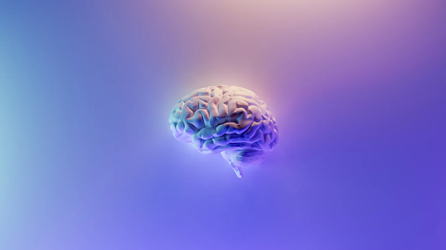 ¿Cómo prevenir un ictus? Hasta el 90% de los casos se podrían evitar con estos hábitos ¿Cómo prevenir un ictus? Hasta el 90% de los casos se podrían evitar con estos hábitos