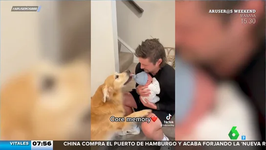 Así reaccionan estos perros cuando conocen al nuevo miembro de la familia: un bebé recién nacido Así reaccionan estos perros cuando conocen al nuevo miembro de la familia: un bebé recién nacido