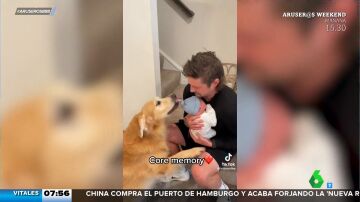 Así reaccionan estos perros cuando conocen al nuevo miembro de la familia: un bebé recién nacido
