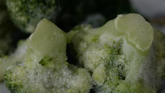 Cómo descongelar la comida de forma correcta Cómo descongelar la comida de forma correcta