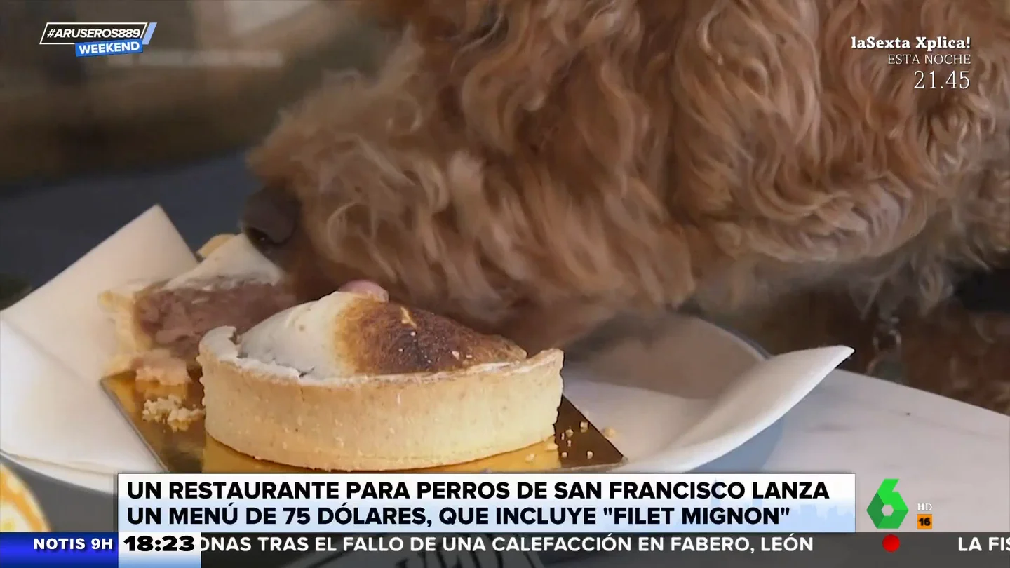 Abren un restaurante para perro con un menú degustación por 75 euros Abren un restaurante para perro con un menú degustación por 75 euros