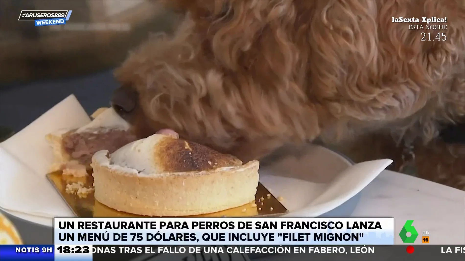 Abren un restaurante para perro con un menú degustación por 75 euros