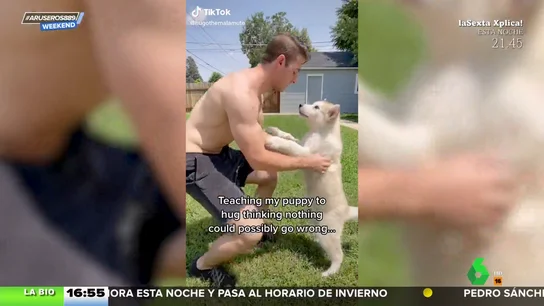 abrazos y perro abrazos y perro