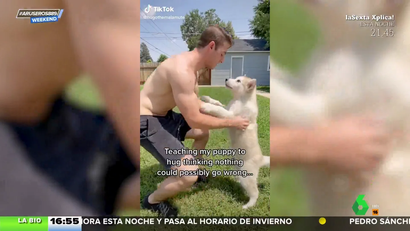 abrazos y perro abrazos y perro