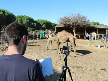 Consiguen medidas tridimensionales de animales a partir de fotografias en 2D Consiguen medidas tridimensionales de animales a partir de fotografias en 2D
