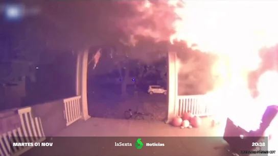 Salvados por despiste Salvados por despiste