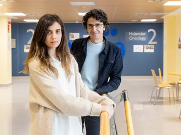 Marcos Malumbres y Carolina Villarroya, dos de los coautores del estudio realizado por el CNIO Marcos Malumbres y Carolina Villarroya, dos de los coautores del estudio realizado por el CNIO