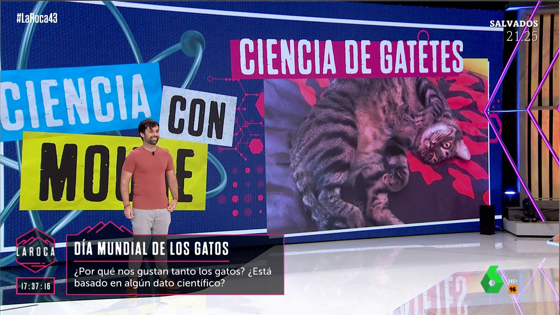 LA ROCA - CIENCIA GATOS