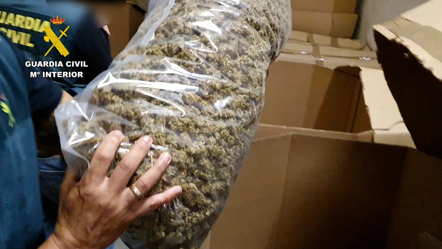El mayor alijo de marihuana descubierto: la Guardia Civil interviene 32 toneladas de cogollos envasados El mayor alijo de marihuana descubierto: la Guardia Civil interviene 32 toneladas de cogollos envasados