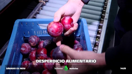 Ahorrar comprando fruta fea: una empresa de Lleida rescata las piezas que tirarían las grandes superficies Ahorrar comprando fruta fea: una empresa de Lleida rescata las piezas que tirarían las grandes superficies